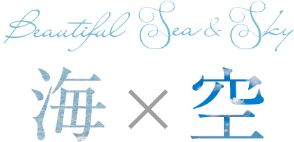 海×空
