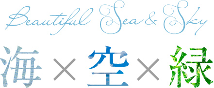 海×空×緑